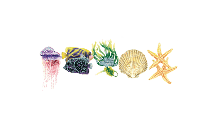 Rivers, Seas and Oceans