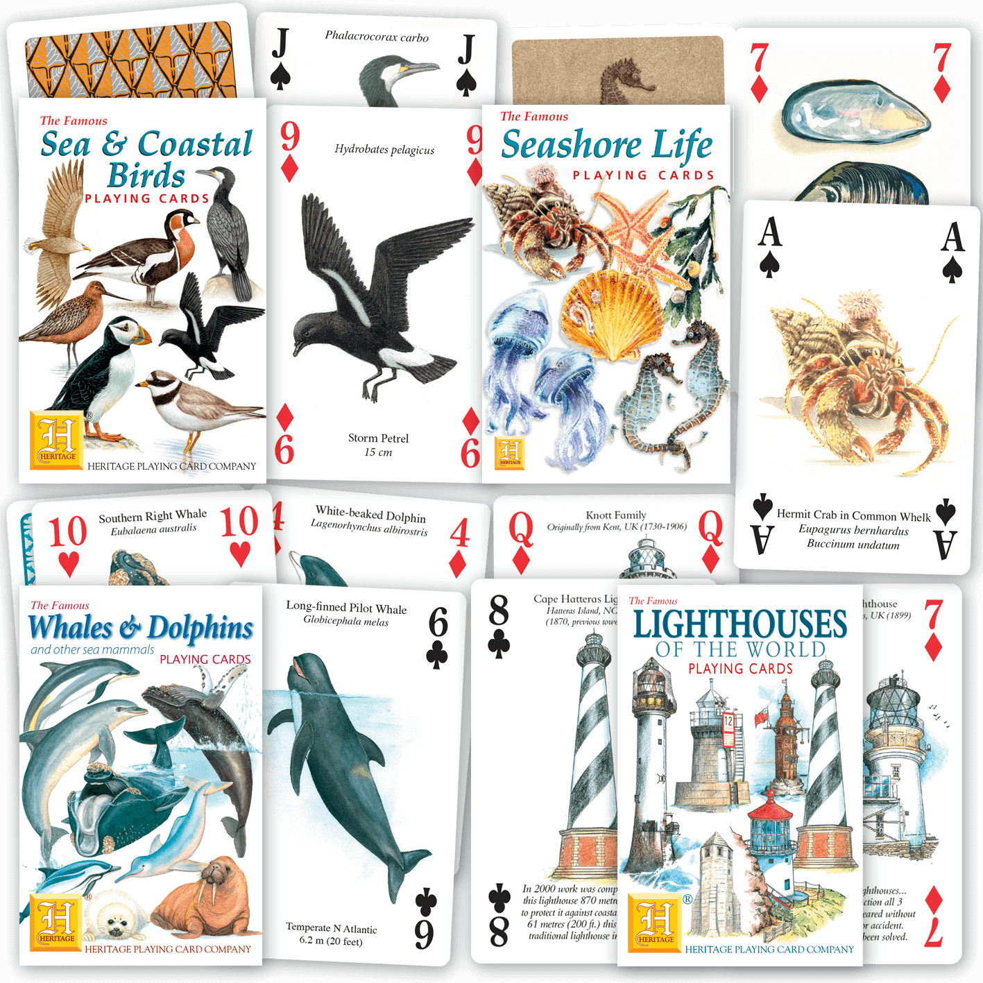 Gift Quartet: Sea and Ocean