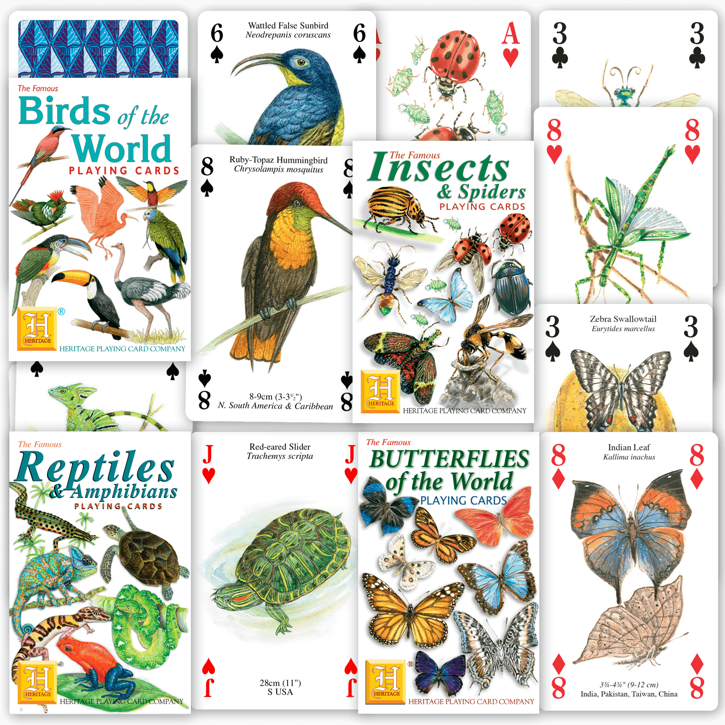 Gift Quartet: World Fauna