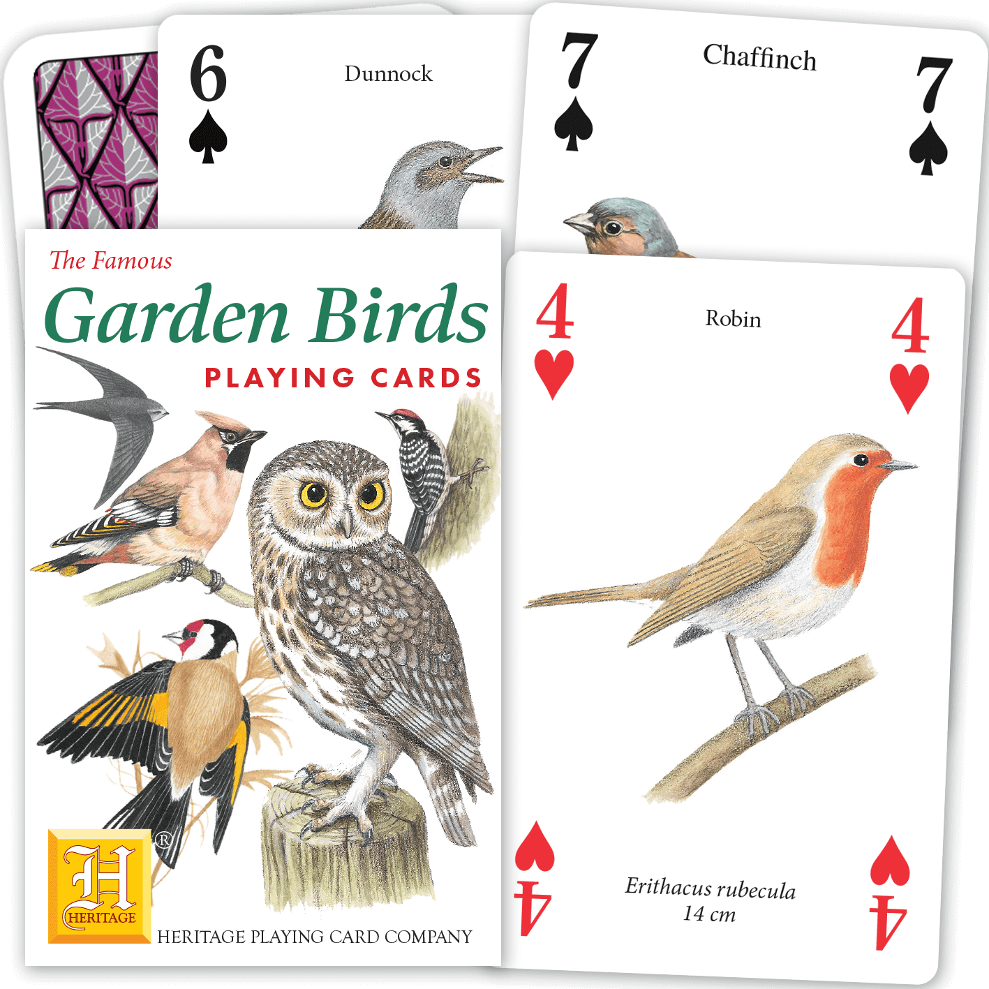 Garden Birds
