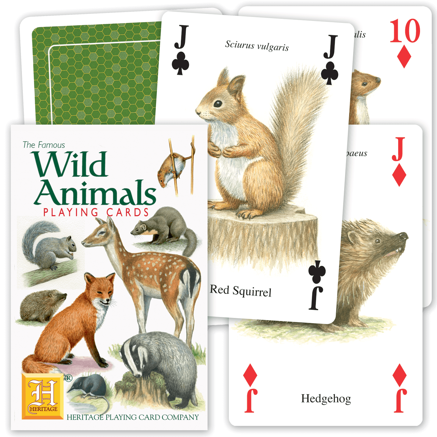 Wild Animals