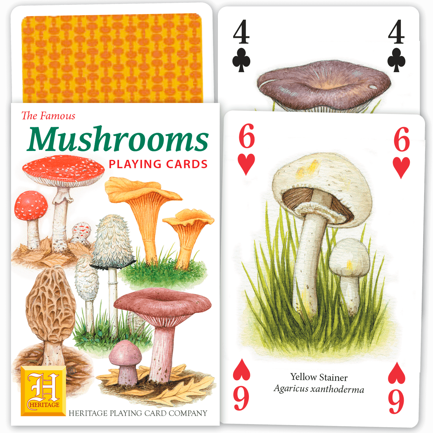 Mushrooms
