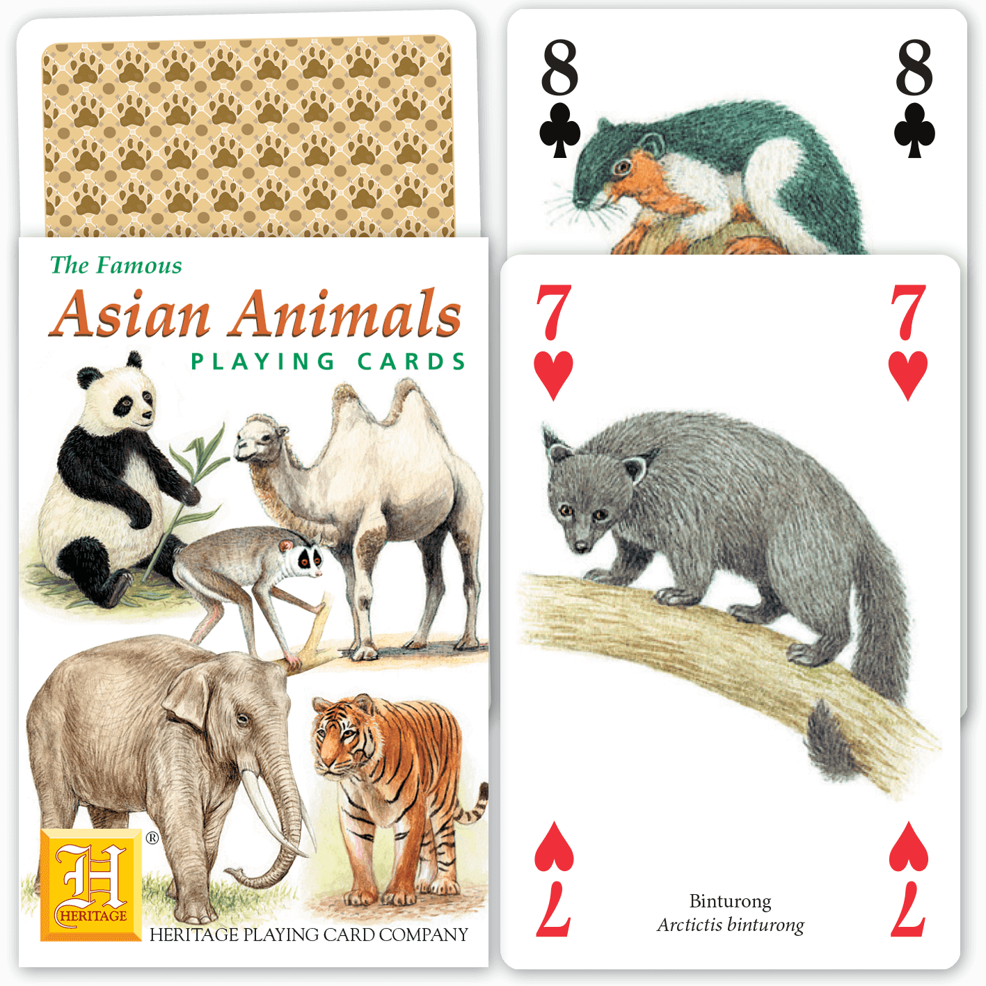 Asian Animals