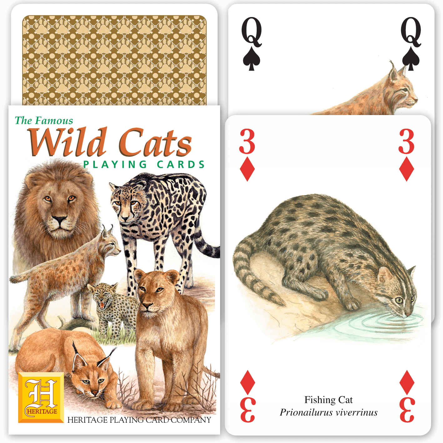 Wild Cats