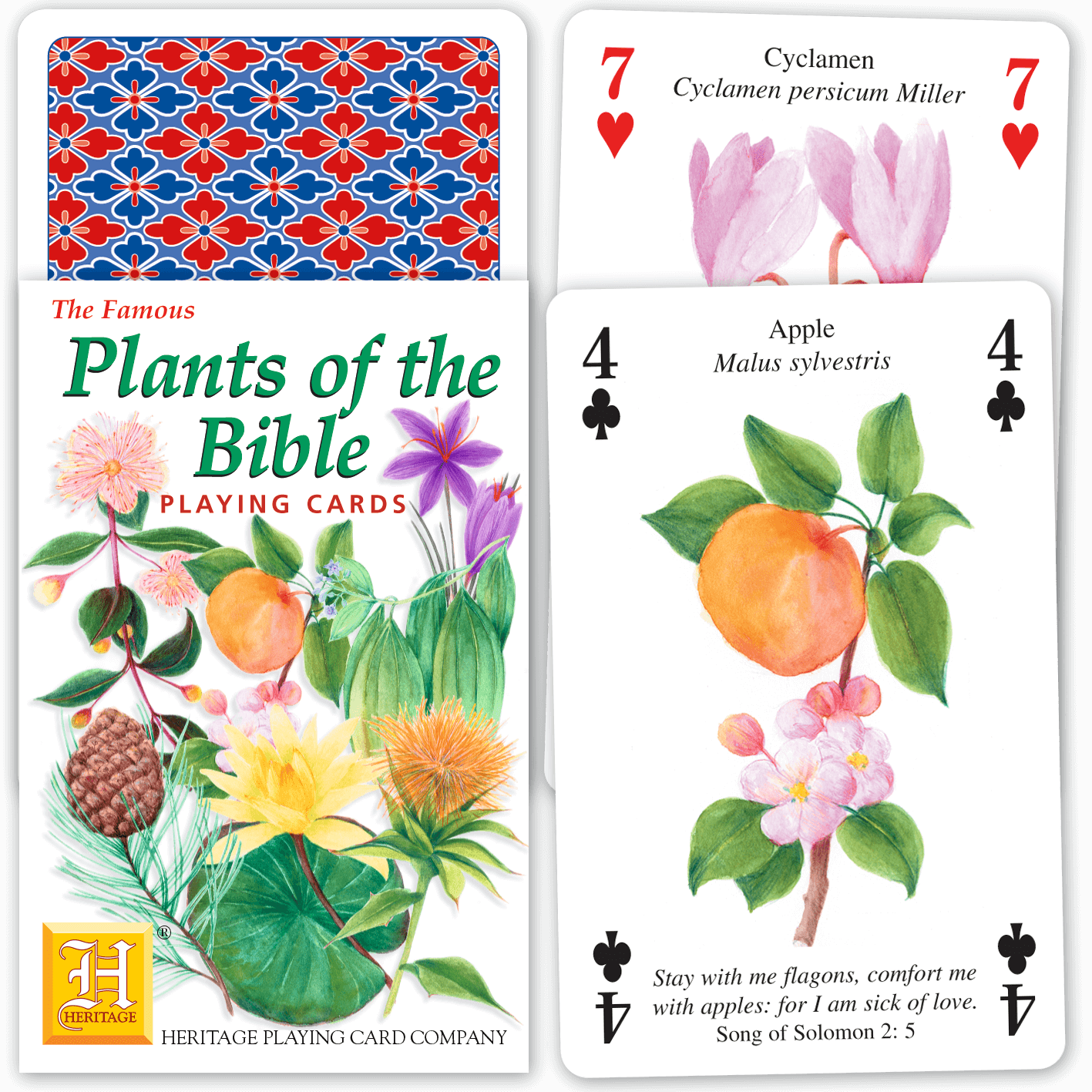 Plants of the Bible