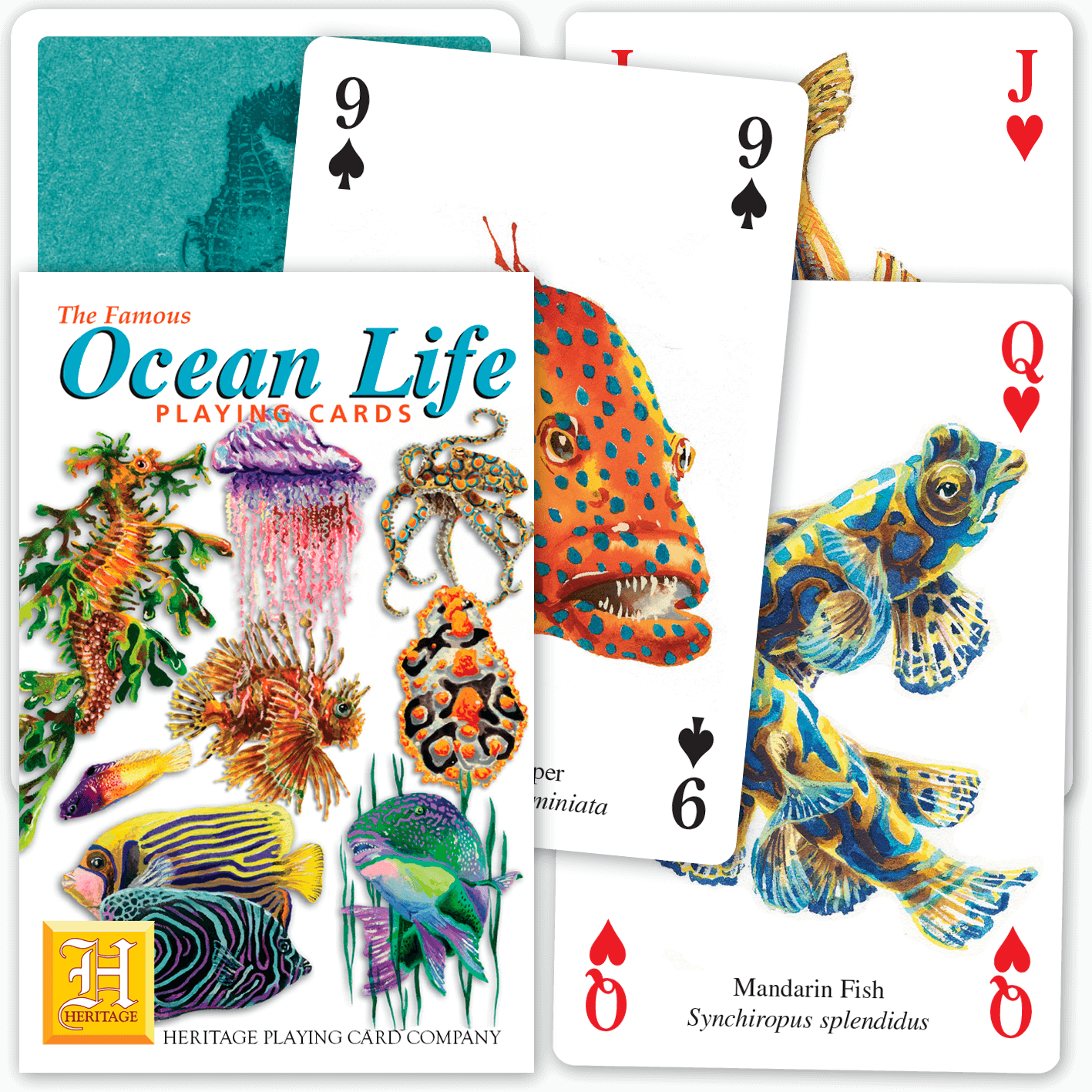 Ocean Life