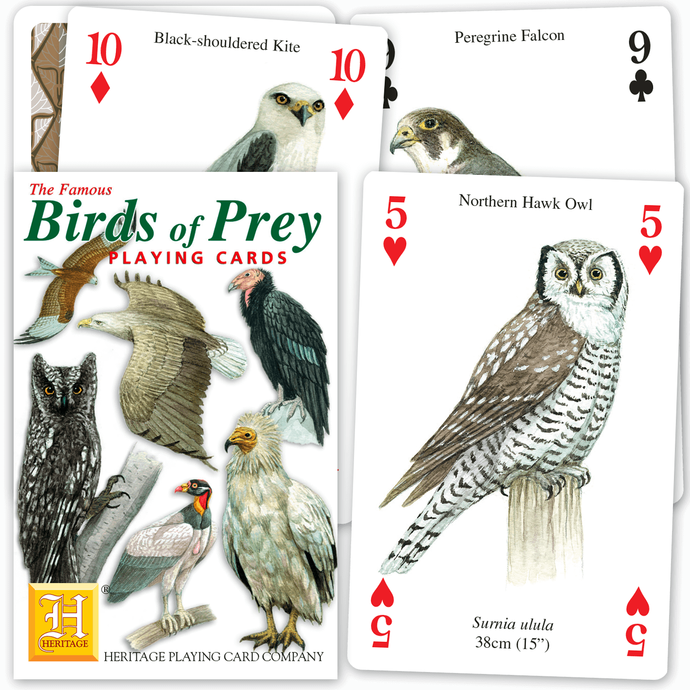 Birds of Prey