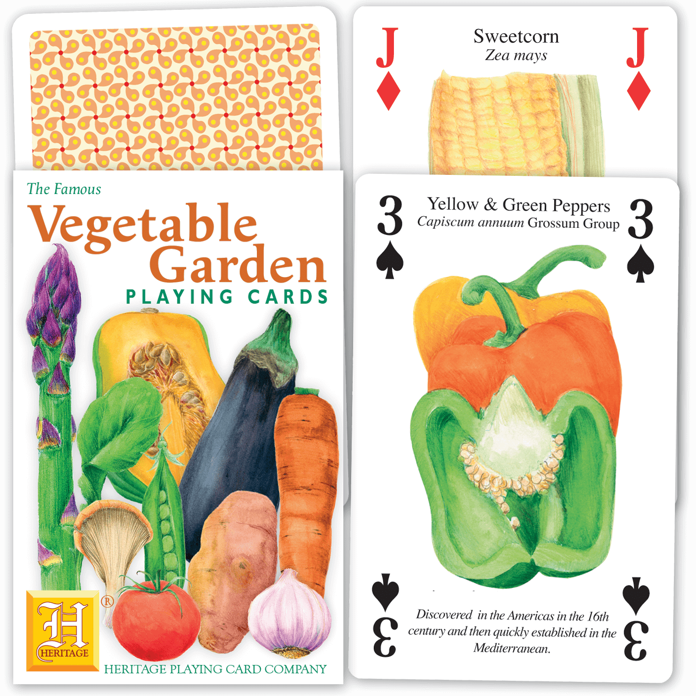 Vegetable Garden