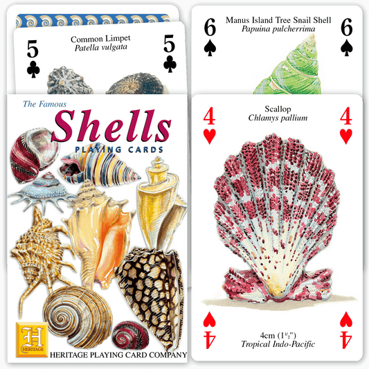 Shells