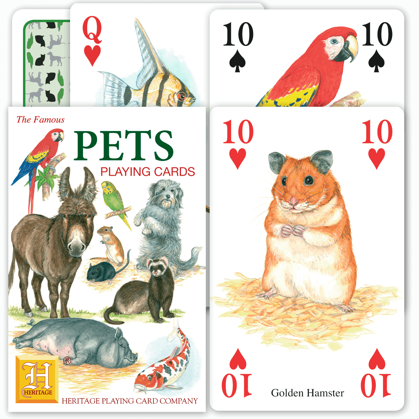 Pets
