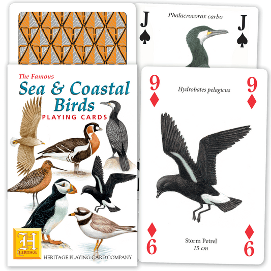 Sea & Coastal Birds