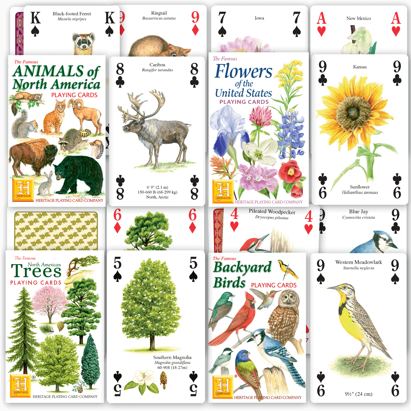 Gift Quartet: American Nature