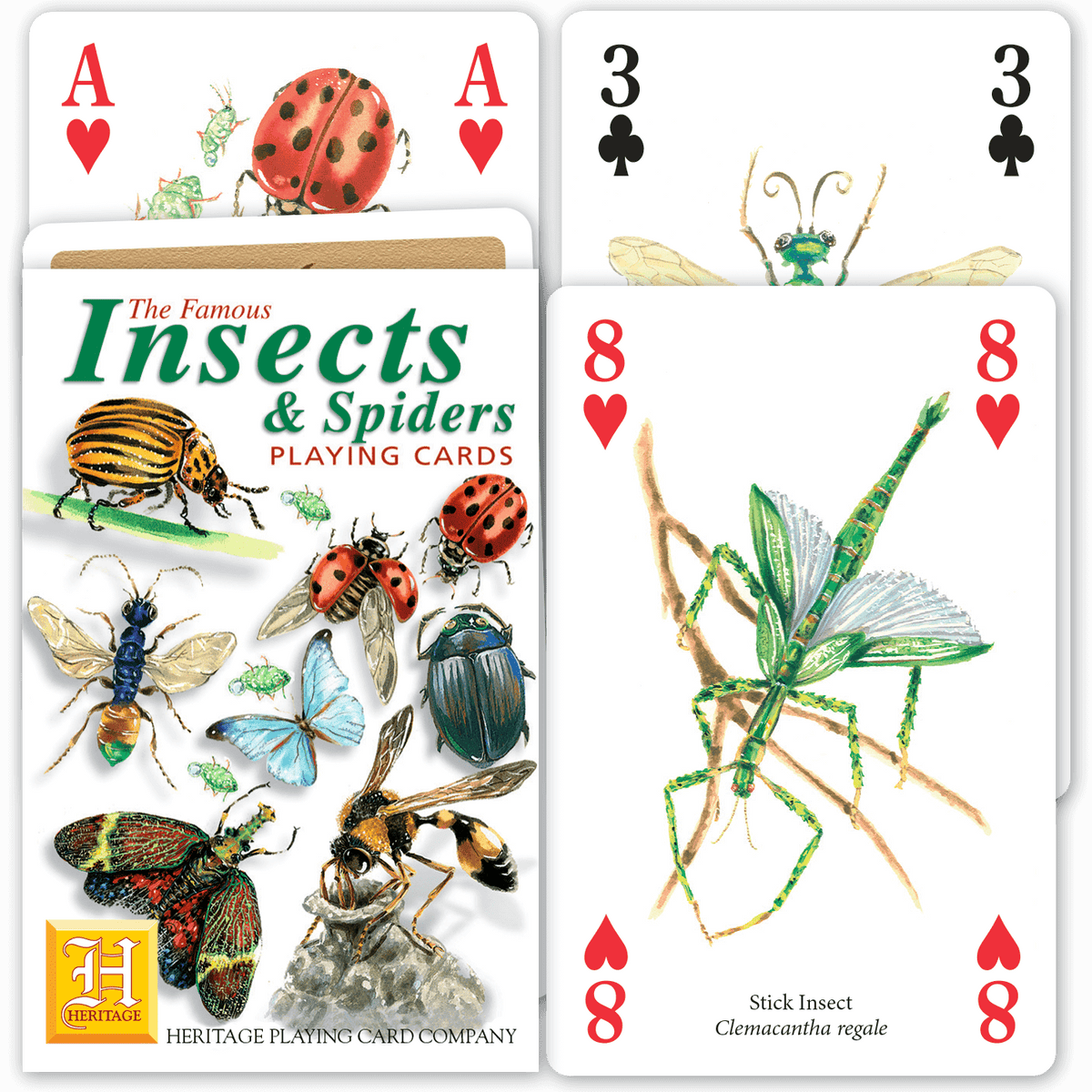 Card Pointed Insects Insects & Spiders – Heritage Playing Cards