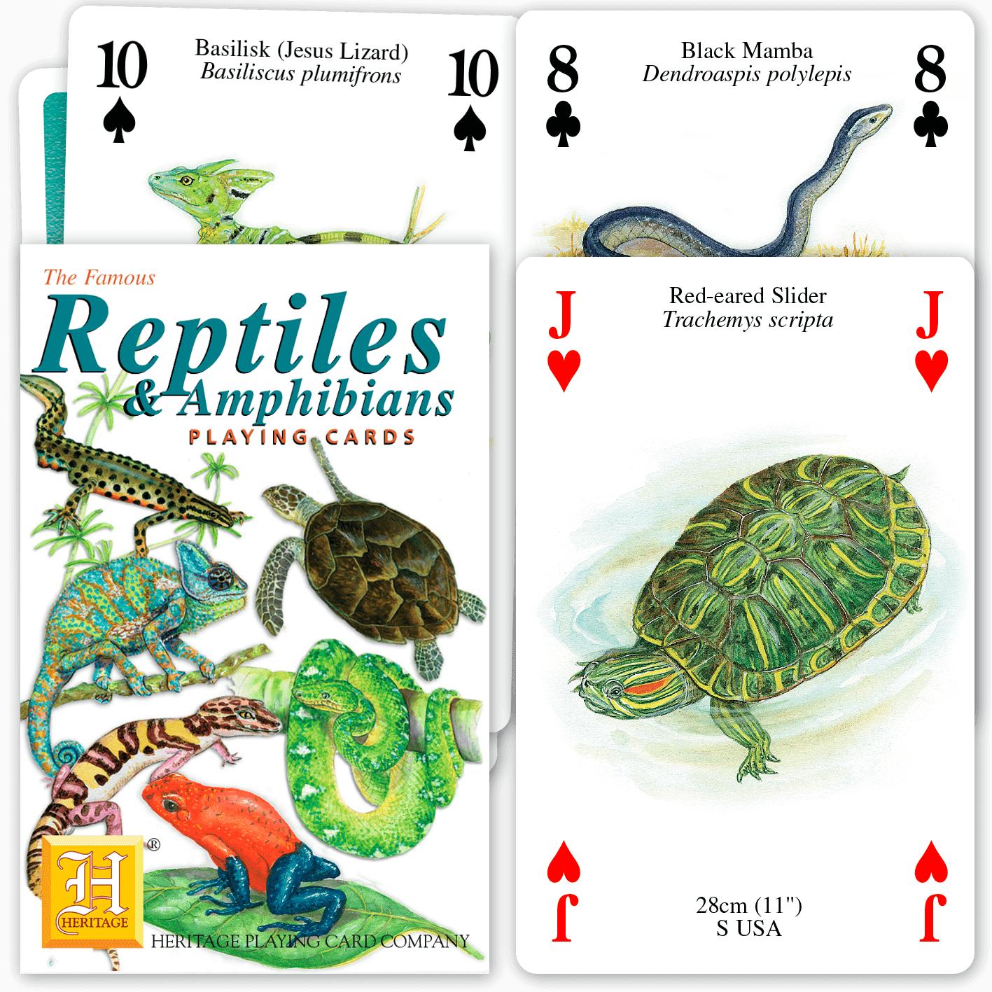 Reptiles & Amphibians – Heritage Playing Cards