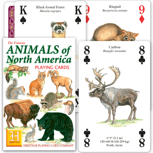 Animals of North America